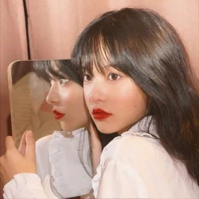 冷暖群芳